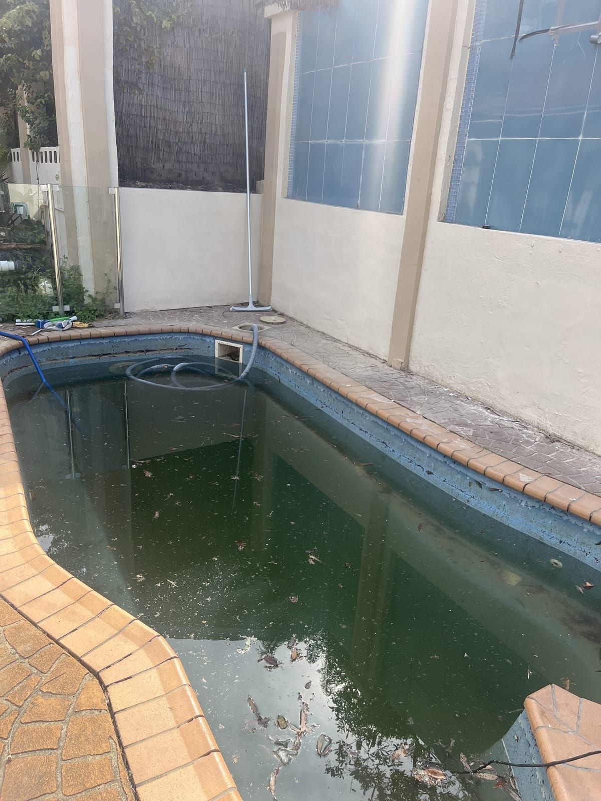 Green pool recovery
